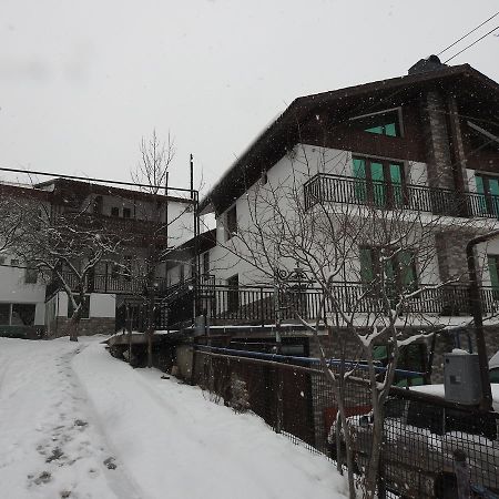 Edelweiss Ξενοδοχείο Bakuriani Εξωτερικό φωτογραφία